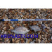 Удилище сюрфовое Yuki Maseraty Beach Ledgering